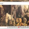 Eurographics - 6010-4654 - Noah`s Ark (Haruno Takino) - 1000 Piece Panoramic
