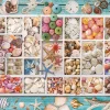 Eurographics - 6000-5529 - Seashell Collection - 1000 Piece (With Smart Cut Technology)
