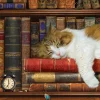 Eurographics - 6500-5545 - The Cat Nap - 500 XL Piece