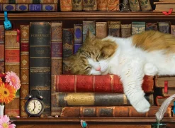 Eurographics - 6500-5545 - The Cat Nap - 500 XL Piece