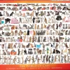 Eurographics - 6000-0580 - The World of Cats - 1000 Piece