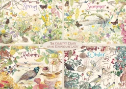 Falcon/Jumbo - 11307 - The Country Diary of an Edwardian Lady, 4 Seasons (Edith Holden)