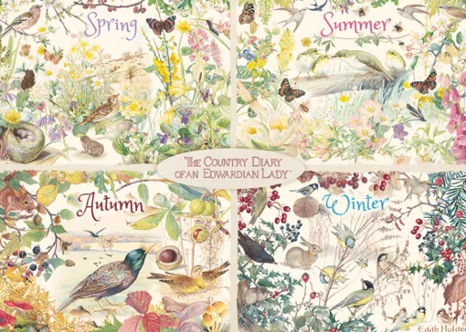 Falcon/Jumbo - 11307 - The Country Diary of an Edwardian Lady, 4 Seasons (Edith Holden)