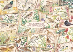 Falcon/Jumbo - 11336 - The Country Diary of an Edwardian Lady - The Country Diary Postcards (Edith Holden) - 1000 Piece