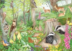 Falcon/Jumbo - 11322 - Woodland Wildlife (Anne Searle) - 1000 Piece