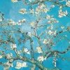 Flame Tree - 556058 - Almond Blossom (Vincent Van Gogh) - 1000 Piece