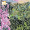Flame Tree - 558854 - Foxgloves and Finches (Annie Soudain) - 1000 Piece