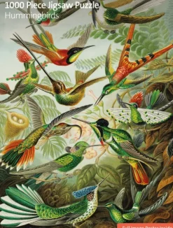 Flame Tree - FTJPL 02 - Hummingbirds (Ernst Haeckel) - 1000 Piece (Sustainably Sourced)