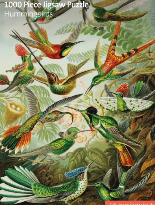 Flame Tree - FTJPL 02 - Hummingbirds (Ernst Haeckel) - 1000 Piece (Sustainably Sourced)