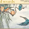 Galileo - The Lost Words (Robert Macfarlane and Jackie Morris) - 1000 Piece
