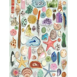 Gibsons - 7220 - Natural Curiosities - 1000 Piece