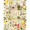 Gibsons - 7160 - RHS Botanical Bliss - 1000 Piece