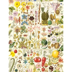Gibsons - 7160 - RHS Botanical Bliss - 1000 Piece