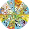 Gibsons - 3706 - RSPB Birds of the Year (Claire Comerford) - 500 Piece Circular