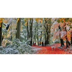 Gibsons - 4057 - Snow in Autumn - 636 Piece Panoramic