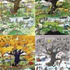 Heye - 29873 - 4 Seasons (Blachon) - 2000 Piece