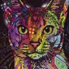 Heye - 29810 - Abyssinian (Dean Russo) - 2000 Piece