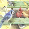 Heye - 29203 - Birds (Marjolein Bastin) - 1000 Piece