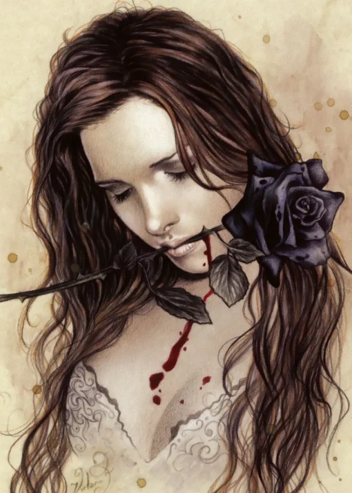 Heye - 29430 - Dark Rose (Victoria Frances) - 1000 Piece