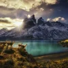 Heye - 29815 - Guanacos - 1000 Piece