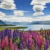 Heye - 29902 - Lake Tekapo, New Zealand - 1000 Piece Panorama