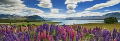 Heye - 29902 - Lake Tekapo, New Zealand - 1000 Piece Panorama