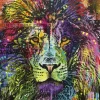 Heye - 29894 - Lion`s Heart (Dean Russo) - 2000 Piece