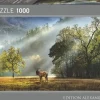 Heye - 29947 - Morning Salute - 1000 Piece Panoramic