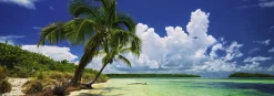 Heye - 29860 - Paradise Palms - 2000 Piece Panoramic