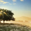 Heye - 29901 - Play of Light - 1000 Piece Panorama