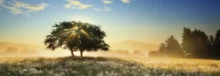 Heye - 29901 - Play of Light - 1000 Piece Panorama