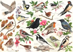 House of Puzzles - Birds in My Garden (Tracy Hall) - 1000 Piece