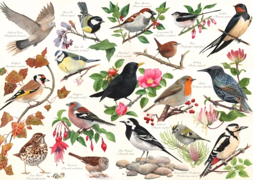 House of Puzzles - Birds in My Garden (Tracy Hall) - 1000 Piece