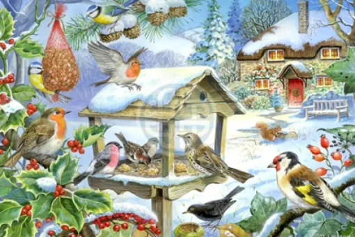 House of Puzzles - Feed the Birds (Ray Cresswell) - 250piece