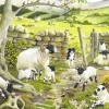 House of Puzzles - Hide and Seek (Tracy Hall) - 1000piece