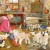 House of Puzzles - Mary`s Little Lambs (Tracy Hall) - 500 XL Piece