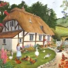 House of Puzzles - Pretty as a Picture (Tracy Hall) - 500 XL Piece