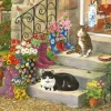 House of Puzzles - Puss `N` Boots (Tracy Hall) - 500 XL Piece