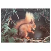 House of Puzzles - Red Alert - 1000 Piece
