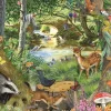 House of Puzzles - Riverside Glade (Robert Barry) - 500 XL Piece