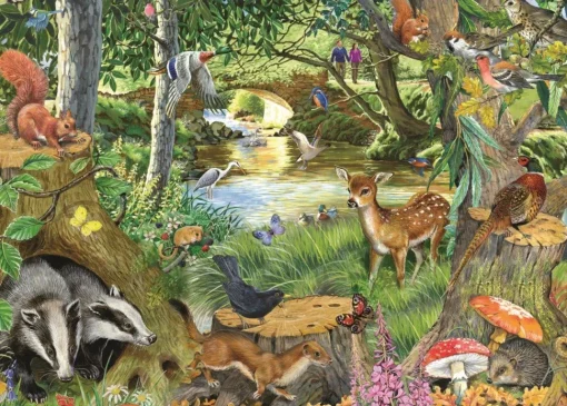 House of Puzzles - Riverside Glade (Robert Barry) - 500 XL Piece