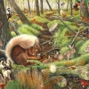House of Puzzles - Save Our Squirrels (Tracy Hall) - 1000 Piece