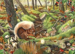House of Puzzles - Save Our Squirrels (Tracy Hall) - 1000 Piece