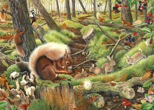House of Puzzles - Save Our Squirrels (Tracy Hall) - 1000 Piece
