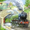House of Puzzles - Train Spotting (Ray Cresswell) - 250piece