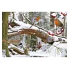 House of Puzzles - Winter Wood - 500 Piece