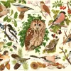 House of Puzzles - Woodland Birds (Tracy Hall) - 500 XL Piece