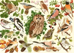 House of Puzzles - Woodland Birds (Tracy Hall) - 500 XL Piece
