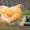 James Hamilton - Mother Hen (Roy Didwell) - 500 Piece