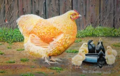 James Hamilton - Mother Hen (Roy Didwell) - 500 Piece